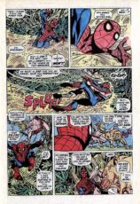 The Amazing Spider-Man #104