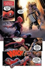 The Amazing Spider-Man #79 (#880)