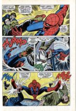 The Amazing Spider-Man #107