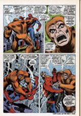 The Amazing Spider-Man #110