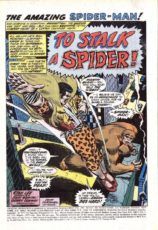 The Amazing Spider-Man #111