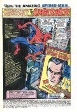 The Amazing Spider-Man #116