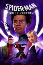 Spider-Man: Into the Spider-Verse (2018)