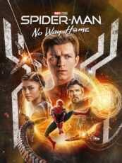Spider-Man: No Way Home (2021)